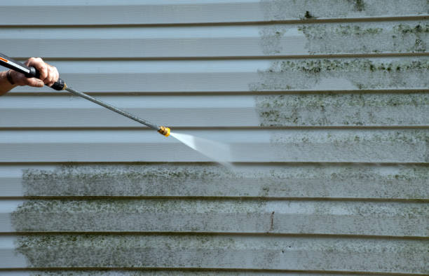 Best Sidewalk Pressure Washing  in South Floral Park, NY